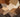 Choosing the Right Type of Hardwood for Your Home - Hardtwood Custom Woodworks