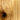 Hardtwood Knotty Alder Hardwood Sample